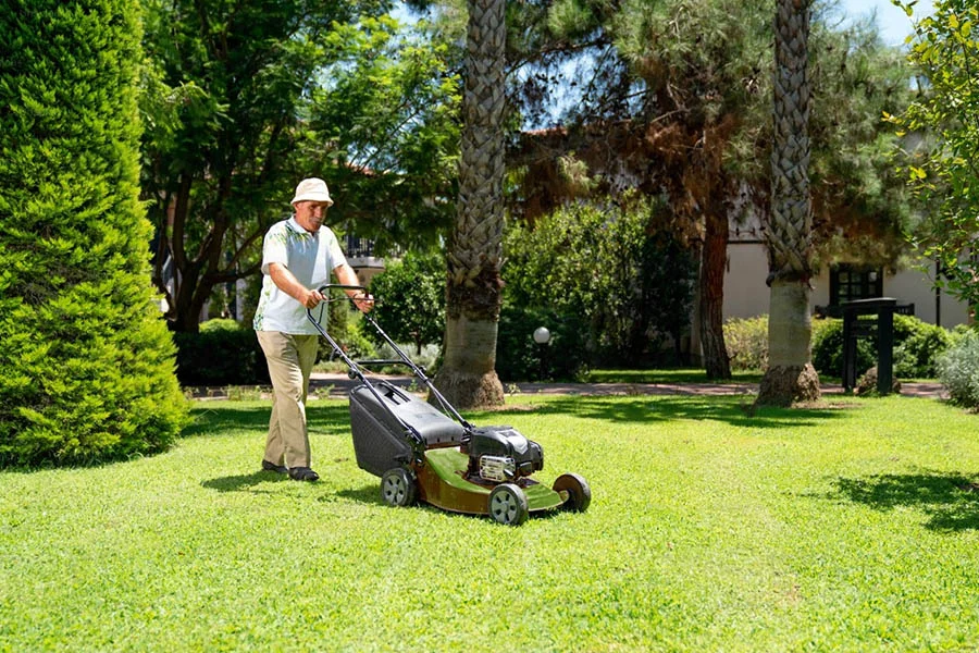 good cordless lawn mower